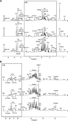 NMR-Driven Identification of Cinnamon Bud and Bark Components With Anti-Aβ Activity